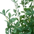 thumbnail image 4 of 2-pack 28" Faux Olive Trees in Beige Ceramic planters, 4 of 5