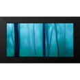 thumbnail image 2 of McLoughlin, James 18x11 Black Modern Framed Museum Art Print Titled - Harriman Woods II, 2 of 5