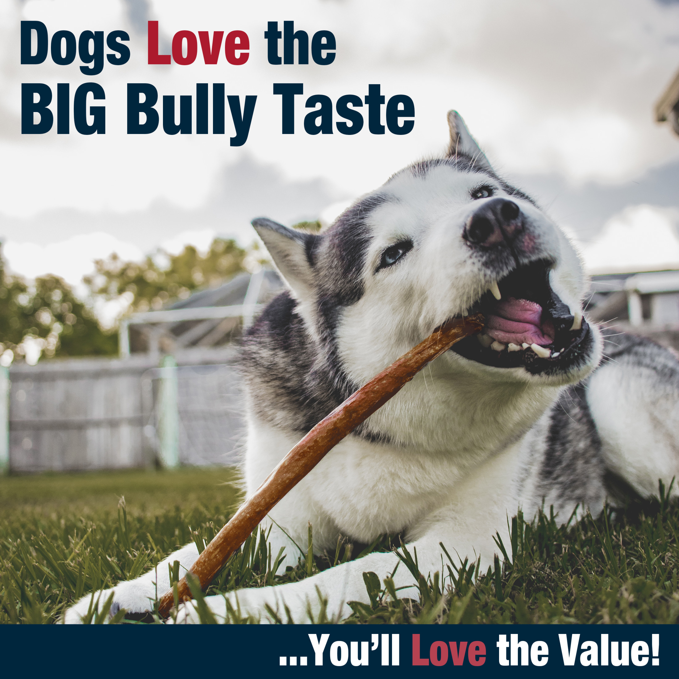 Cadet Bully Hide Sticks Dog Treats, 4 Count photo 6