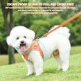 thumbnail image 2 of AIITLE Breathable Reflective Adjustable Dog Harness and Leash Set, Step-in Vest for Small Dogs and Cats, Orange XS, 2 of 6