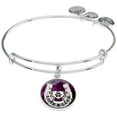 thumbnail image 2 of Alex And Ani Art Infusion Fortunes Favor Two Tone One Size Bracelet A17SETFFSS, 2 of 4