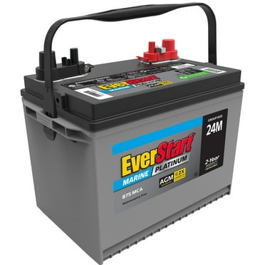 EverStart Platinum BOXED AGM Automotive Battery, Group Size 35 12 Volt ...