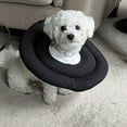 thumbnail image 4 of Colliers de Récupération Confortables pour Chiens, Alternative, Cône Souple pour Chiens, 4 of 6
