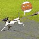 thumbnail image 4 of Correa para perros resistente para perros grandes de hasta 40 kg, correa elástica reflectante, 4 of 4