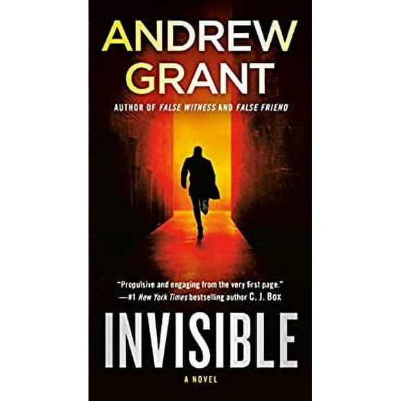 Invisible : A Novel 9780525619611 Used / Pre-owned