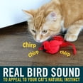 thumbnail image 4 of OurPets Play-N-Squeak Real Birds Interactive Indoor Catnip Cat Toys for All Cats with Bird Chirping Electronic Sound, 4 of 7