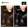 thumbnail image 3 of Garnier Color Naturals Nourishing Permanent Hair Color Cream - Natural Black 1 Set, 3 of 4