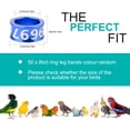 thumbnail image 7 of 6mm Closed Bird Leg Rings, 50Pcs Multicolor Aluminum Identification Bands for Xuan Feng, Small Suns, and other birds of similar size., 7 of 7