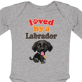 thumbnail image 4 of Inktastic Labrador Retriever Dog Black Lab Boys or Girls Long Sleeve Baby Bodysuit, 4 of 5