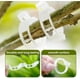 thumbnail image 2 of Hoidokly Clips de jardín Soporte para Plantas, plástico Vid Tomate, duraderos Flores Cordel, Orquídea Crecer Vertical y más Saludable (Blanco-50pc) Blanco-50pc, 2 of 7