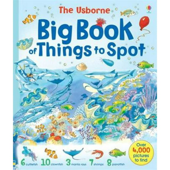 Pre-Owned Big Book of Things to Spot (Paperback) 0746053010 9780746053010