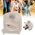 thumbnail image 2 of Sombrero de invierno para perros YONGSHENG para uso diario para perros y gatos pequeños, 2 of 2