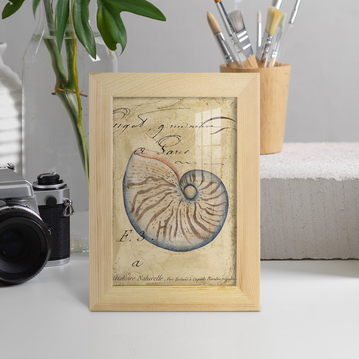 Seashell Ephemera II - Framed Print w/glass - Natural Wood
