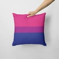thumbnail image 2 of Carolines Treasures CK8011PW1414 Fabric Decorative Pillow, 14Hx14W, multicolor, 2 of 3