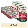 (4 pack) Canada Dry Caffeine Free Zero Sugar Fruit Splash Cherry Ginger Ale Soda Pop, 12 fl oz, 12 Pack Cans