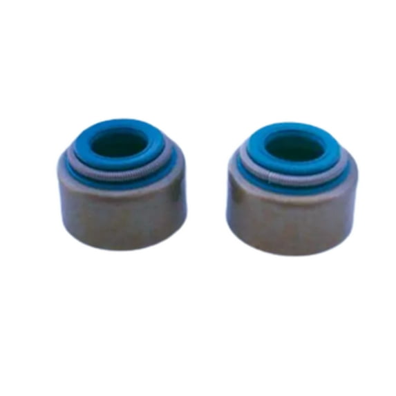 Fits Yamaha TTR225 TT R 225 VITON Valve Seals - 5H0-12119-00-0 - Set of 2 - NEW!