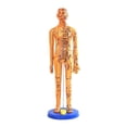 thumbnail image 1 of Tachiuwa Chinese Medical Acupuncture Model Demonstration Learning Aid Height 15.7inch Copper, 1 of 8