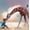 Canvas, variant on Art.com If You Were A Giraffe Art Print by Nancy Tillman, Brown Frame Wall Art, 38" x 38"