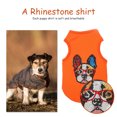 thumbnail image 4 of Cuadros Decorativos Lindo perro Pug 5D diamante DIY ropa para mascotas perro Rhinestone arte hecho a mano camiseta chaleco Wdftyju embutido en tela, 4 of 8