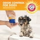 thumbnail image 5 of Champú antiolor para perros Arm & Hammer Kiwi Blossom, 591 ml, paquete de 6, 5 of 7