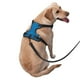 thumbnail image 2 of Balery Blue Christmas Arnés para Perros Grandes Antitirones, Arnés con Correa para Gato, Arnés Tipo Chaleco para Perros Pequeños-X-Large, 2 of 6