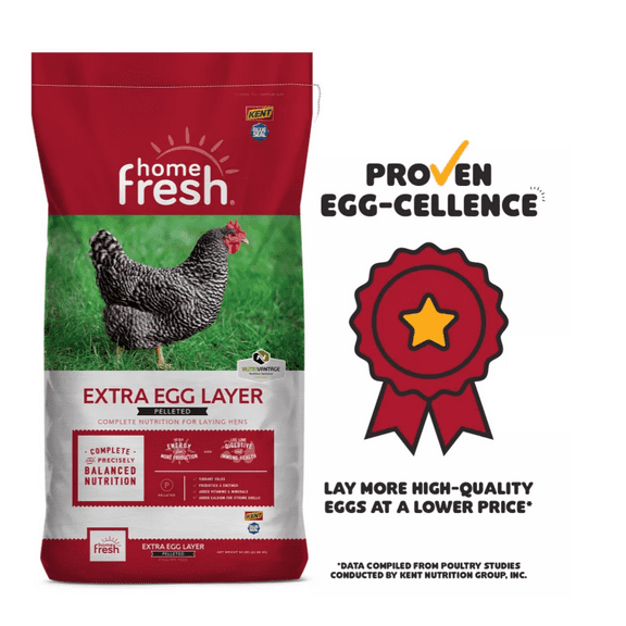 Kent Blue Seal Home Fresh Extra Egg Layer Pelleted Poultry Feed, 50 lb. Bag