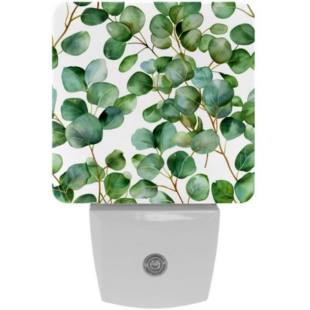 

2 Pack Auto Dusk-to-Dawn Sensor Night Lights Watercolor Green Leaves Pattern Plug-in Home Office Decorative Lamp for Adult 0.5W LED Nightlights for Bedroom Bathroom Hallway Stairs