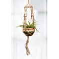 thumbnail image 2 of Jute Rope Hanging Basket Net - Handwoven, Durable, Indoor/Outdoor - for Plant Pots, Boho Decor, Lightweight Design, 2 of 7