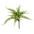 thumbnail image 1 of Vickerman FJ180601 Vaporisateur de Fougère Verte 16 Po., 1 of 3