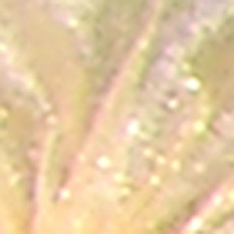 Club Pack of 36 Ivory Organza Tie Gift Bags 5.5" x 8"