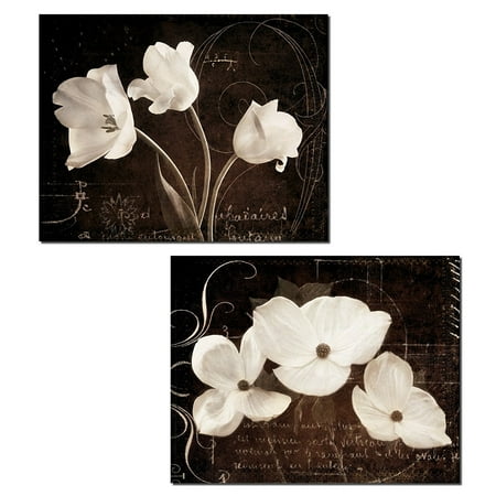 White Tulip - Garden Love Letter I Lovely White Tulips Against a Script Background; Floral Decor; Two 14X11 Poster Prints