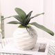 thumbnail image 5 of 1pc Artificial Plant Butterfly Orchid Leaf Diy Home Office Desktop Bonsai Decor, 5 of 5