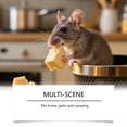 thumbnail image 5 of A box of 10 packs Mice Repellent Peppermint Oil Insect & Pest Repellent, 5 of 8