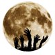 thumbnail image 1 of Pared De Luna Luminosa, Pegatina Fluorescente De Halloween, Autoadhesiva Para Decoración De Halloween Scienceny HA040040-04, 1 of 6