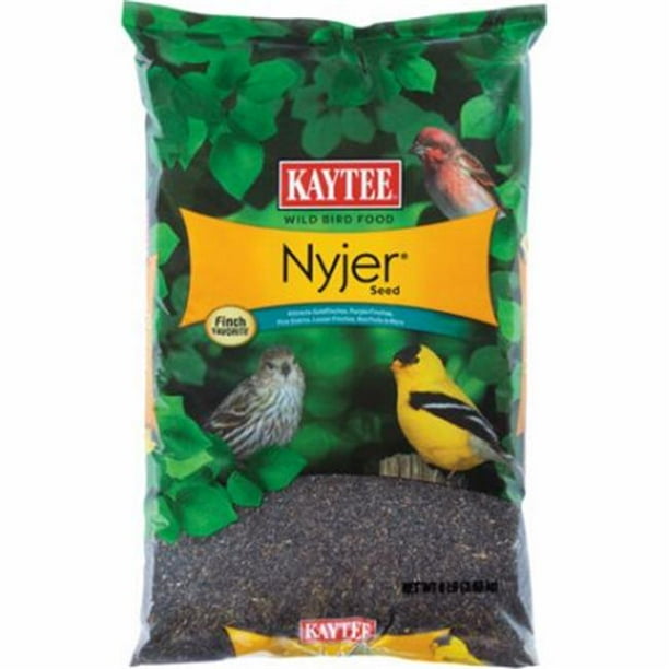 Kaytee Products 207751 8 lbs True Value Nyjer Thistle Bird Seed