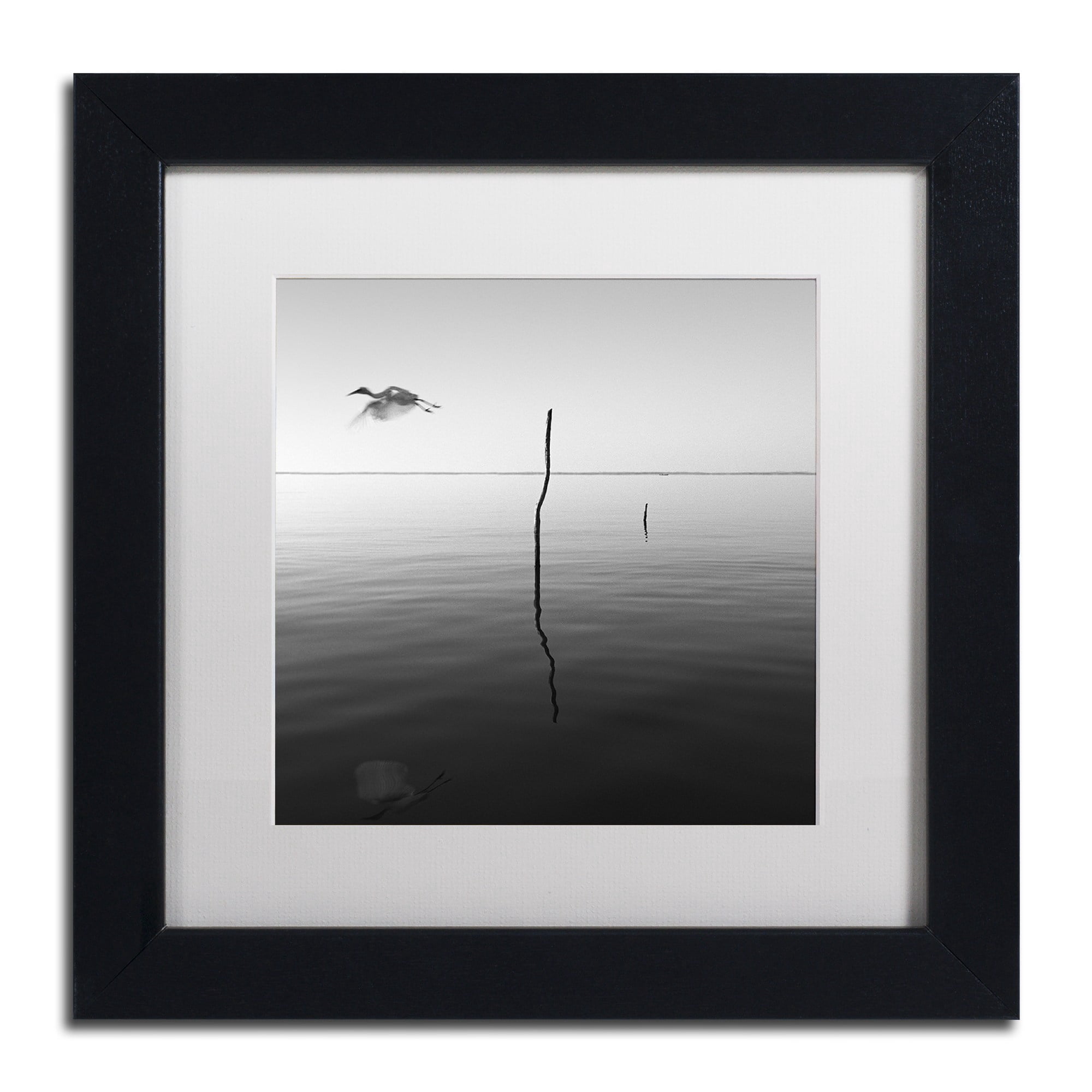 Trademark Fine Art "Fly" Canvas Art by Moises Levy White Matte, Black Frame