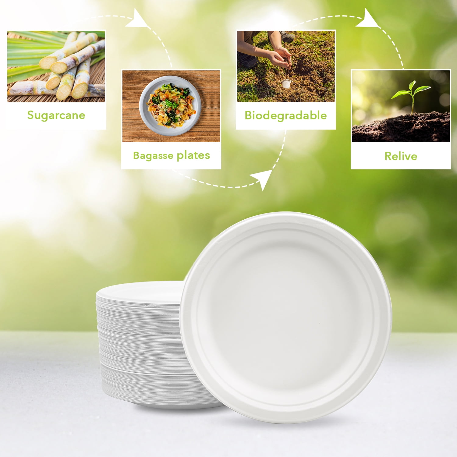 Three Leaf 6" Bagasse Round Disposable Plates 1000 Ct Heavy-Duty Eco-Friendly Biodegradable Compostable White Sugarcane Plates for Parties Catering BBQ and Events