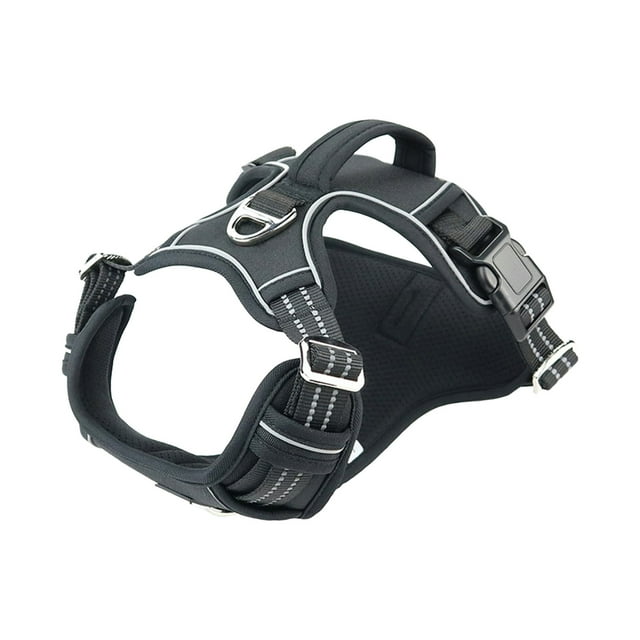 TIMIFIS Harnais pour Chien Laisse pour Animal de Compagnie Chien Chat Trousse Chien Réfléchissant Sangle de Poitrine Chiot Harnais de Marche Extérieur pour Petit Chien Sans Traction - Automne