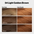thumbnail image 5 of Revlon ColorSilk Permanent Hair Color, Bond Repair Complex, 54 Light Golden Brown, 1 pack, 5 of 15
