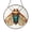 Acrylic 3.5 Inch, variant on Nature Insect Stained Glass Style Panel – Circular Window Hanging