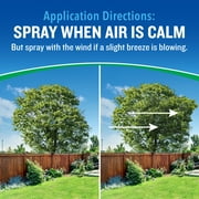 Cutter Backyard Bug Control Outdoor Fogger, 16 Ounce Cans, 2 Count