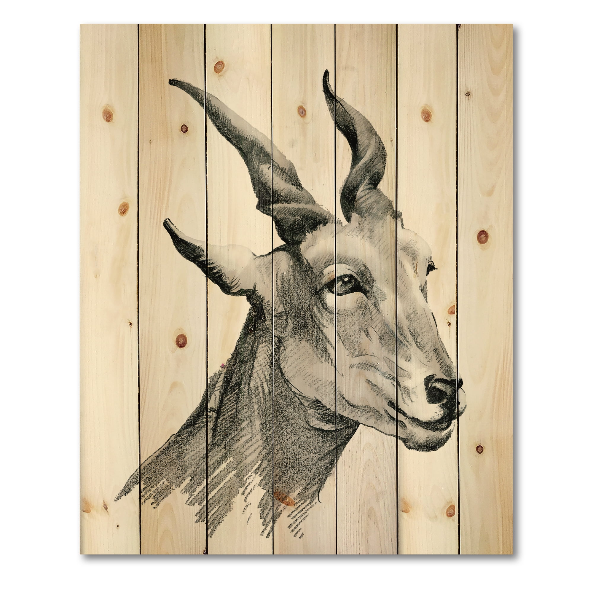 Designart 'Black and White Portrait Of Goat I' Farmhouse Print on Natural Pine Wood