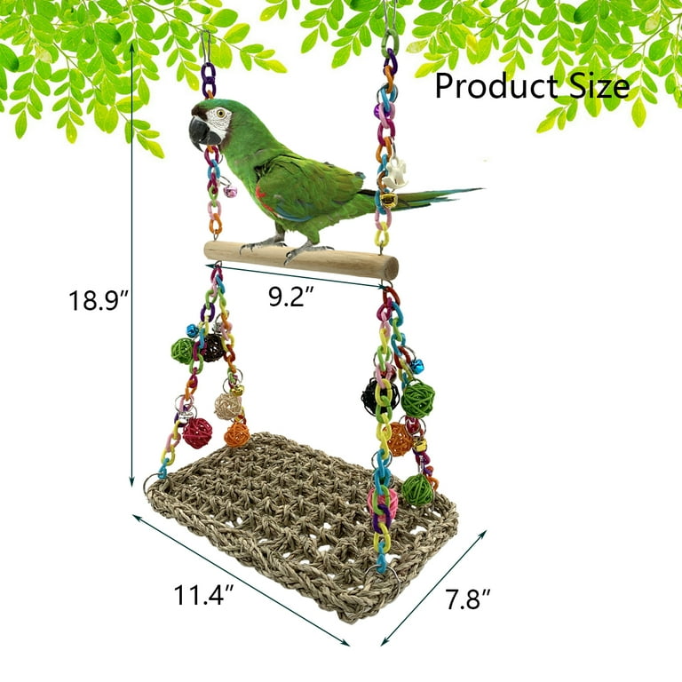 Parrotlet toys shop