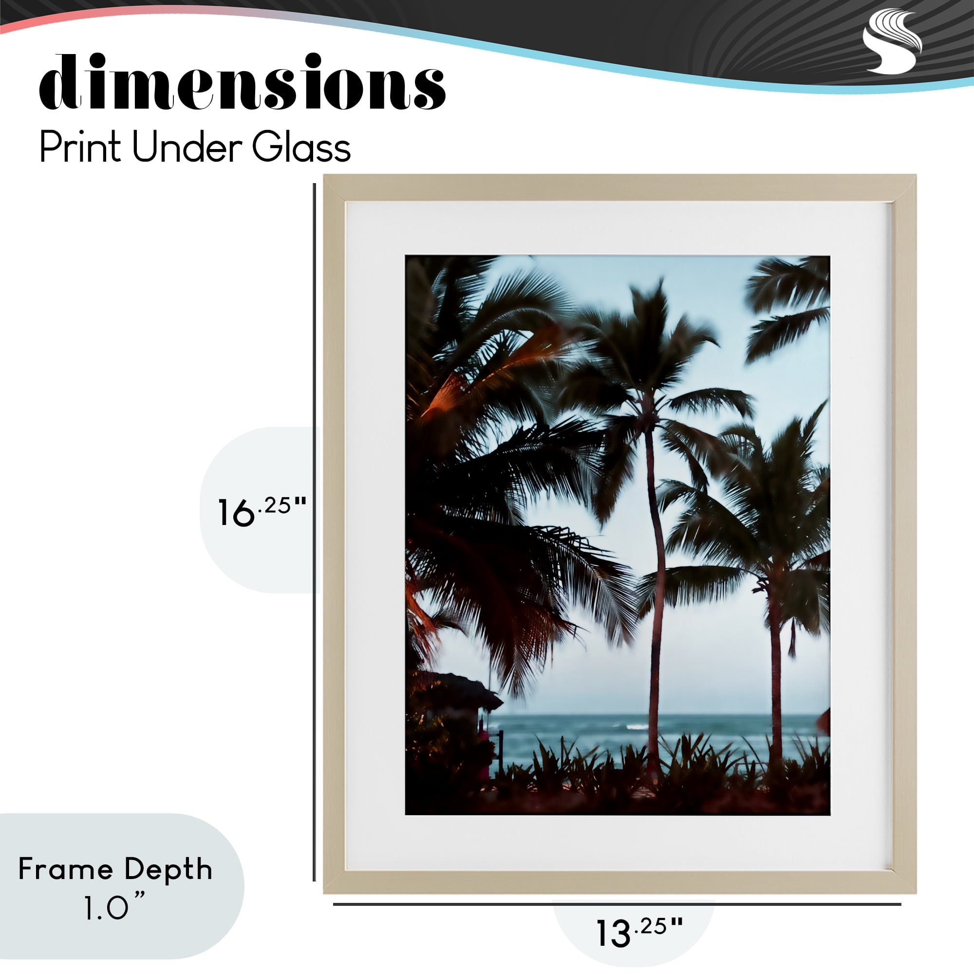 Stupell Industries Shady Palms Beachfront Birch Framed Print Under Glass, design by Noah Bay