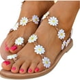thumbnail image 2 of NGTEVOOS Women Summer Clip-Toe Shoes Zipper Comfy Sandals Flats Beach Sandals, 2 of 6