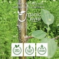 thumbnail image 4 of Organic Way Dried Buckthorn Bark (Frangula Alnus) Cut & Sifted - Organic & Kosher Certified | Raw, Vegan, Non GMO & Gluten Free | USDA Certified | Origin - Albania (1LBS / 16Oz), 4 of 4