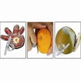 thumbnail image 2 of 2-Pack Orange Peeler / Fruit Peeler / Peel Orange in Stainless Silver, 2 of 5