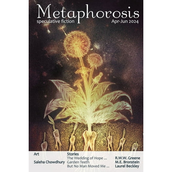 Metaphorosis Magazine: Metaphorosis Apr-Jun 2024 (Paperback)