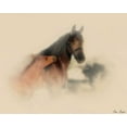 thumbnail image 2 of Drost, David 14x12 Gold Ornate Wood Framed with Double Matting Museum Art Print Titled - Horse Portrait X, 2 of 4