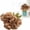 Coffee, variant on Garloy Artificial Peony Silk Flower with Stems 1Pcs Real Look Vintage Peonies Silk Peonies Flowers Fake Peony Faux Florals Arrangements for Home Wedding Home Decoration Table Centerpieces 1PC Orange
